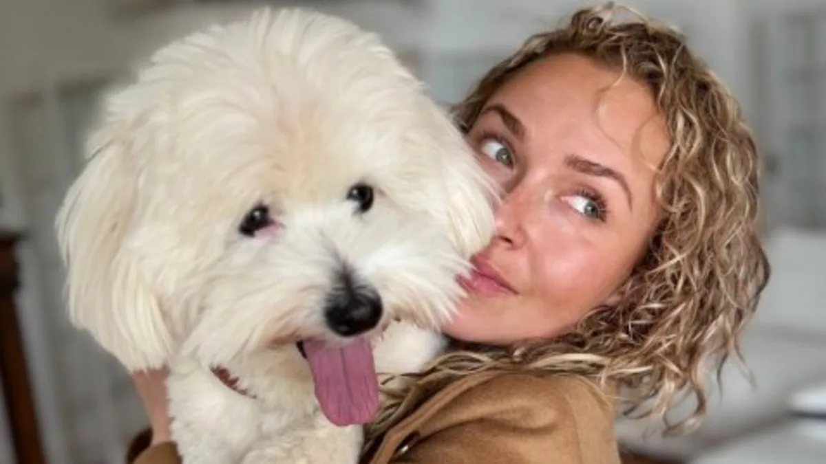 Hayden Panettiere net worth and family: All on parents, ex-partner, daughter and struggles with postpartum depression