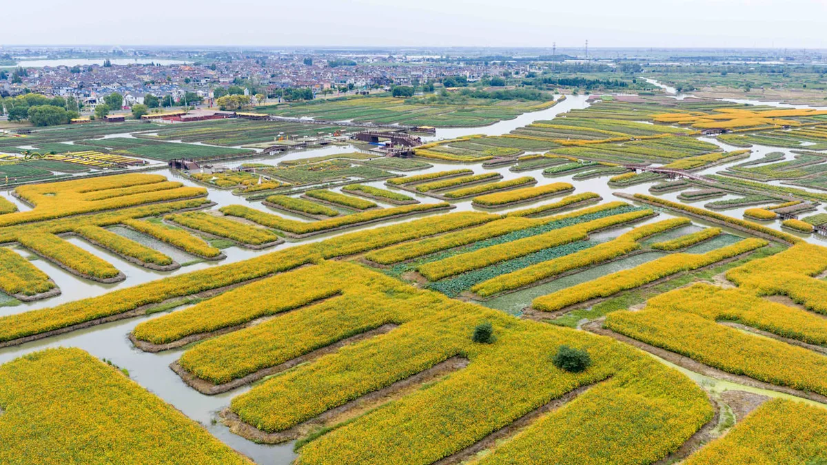 Studie zeigt globale Effekte - Asiens Grün verändert das Wetter weltweit