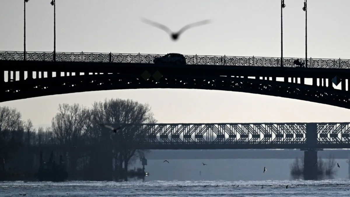 Feuerwehr rettet Möwe von Rheinbrücke: Einsatz mit Drehleiter und spontanem Applaus