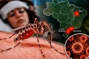 Febre do Nilo Ocidental: Brasil registra casos e uma morte pela doença