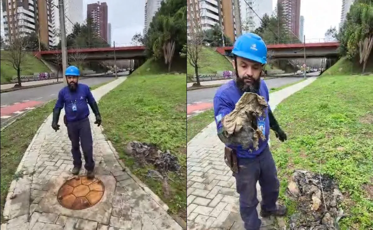 Você joga papel no vaso sanitário? Técnico da Sanepar grava vídeo e revela o que acontece na rede de esgoto; assista