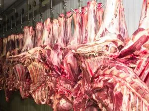 CNA pede medidas contra UE após embargo à carne do Brasil