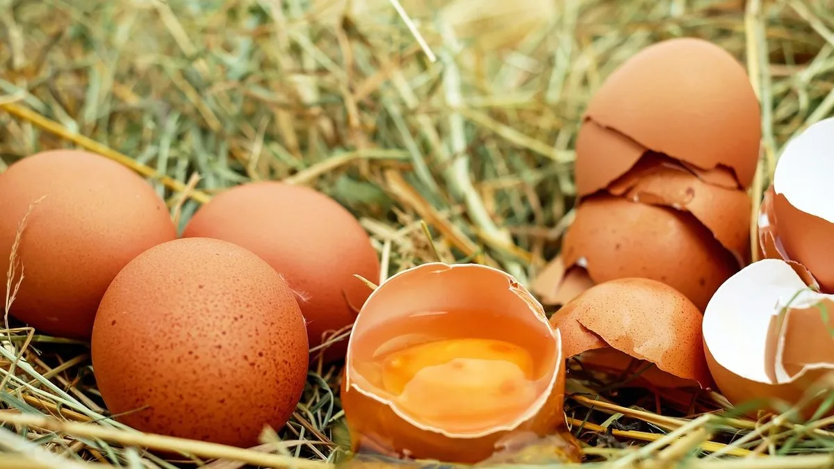 Los nutricionistas coinciden: "Los huevos más buenos no se fríen, sino que se cocinan con leche, dátiles, cacao y harina"
