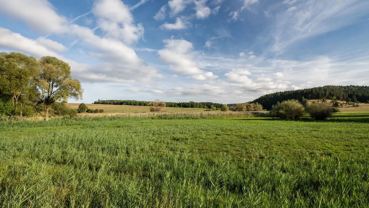 Wetteraussichten: Sonnige Tage im Südwesten – Temperaturen bis zu 32 Grad