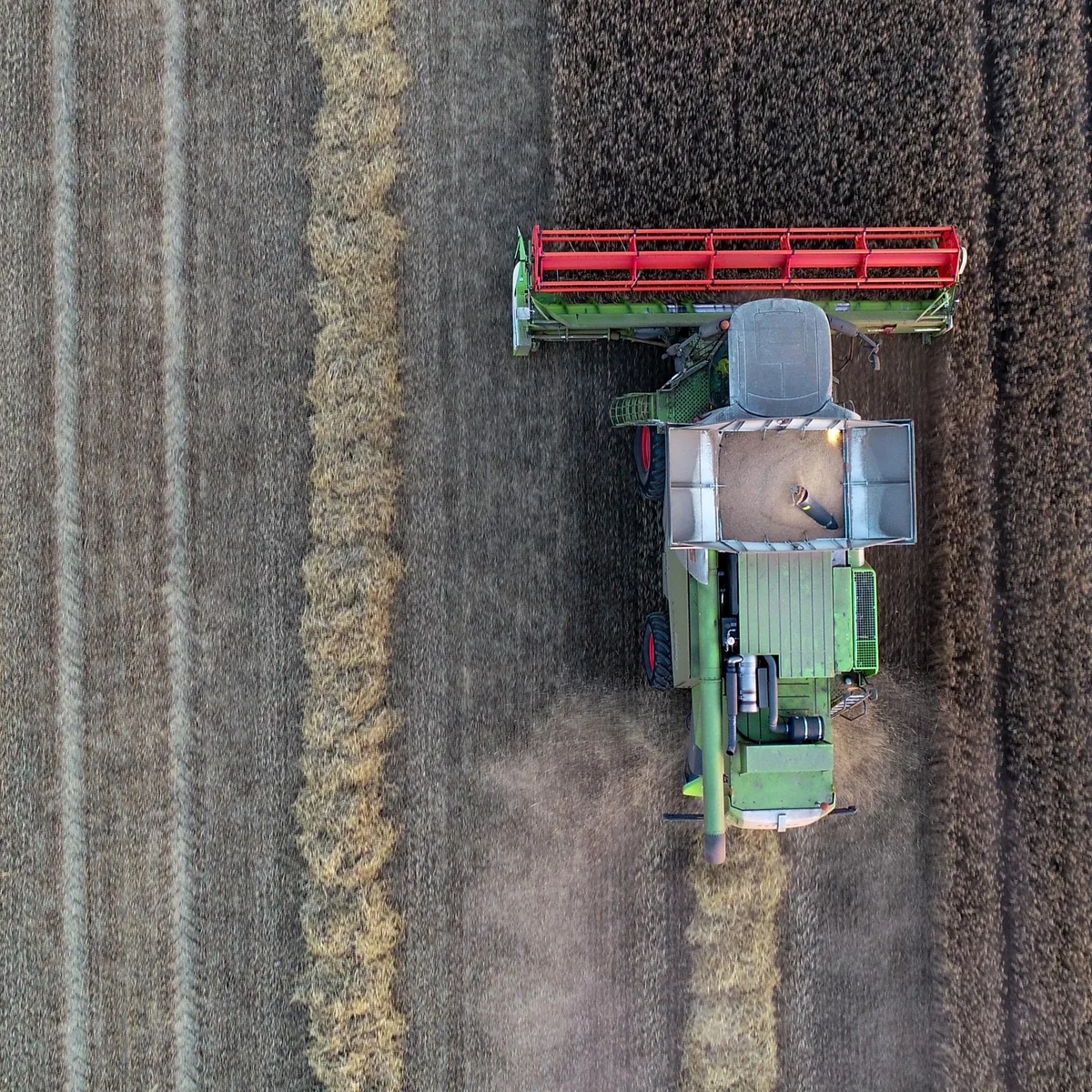 Wie umgehen mit Trockenheit und Hitze? - Deutsche Landwirtschafts-Gesellschaft für "Innovation statt Subventionen"