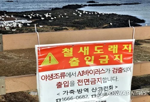 양구군, 고병원성 조류인플루엔자 가상방역 현장훈련 실시