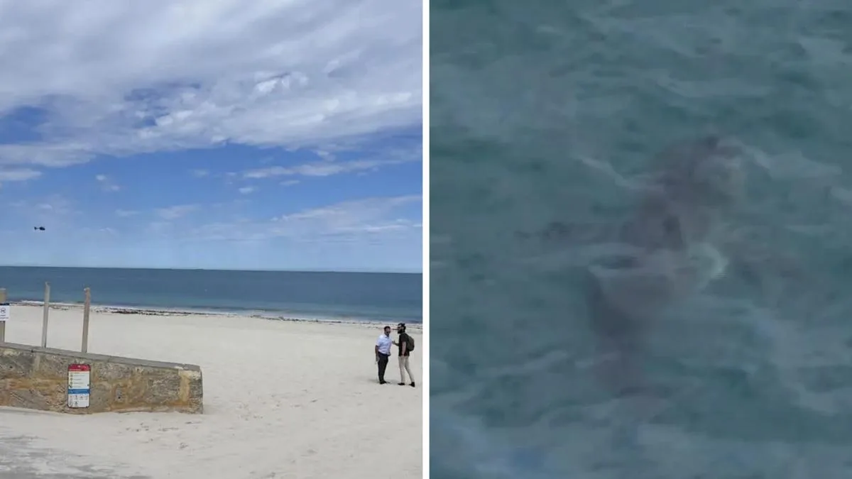 Authorities suspend rare catch-and-kill order for Sorrento Beach shark that mauled Perth dad Greg O’Neil