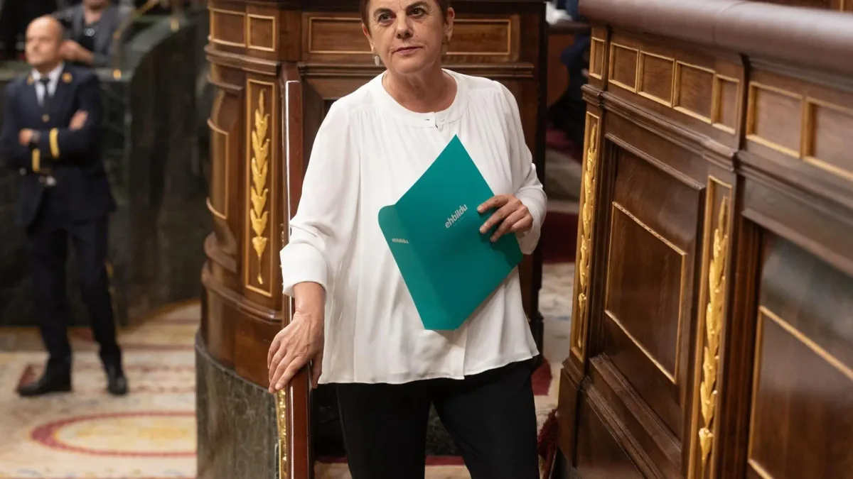 Mertxe Aizpurua no será candidata de EH Bildu al Congreso por decisión propia