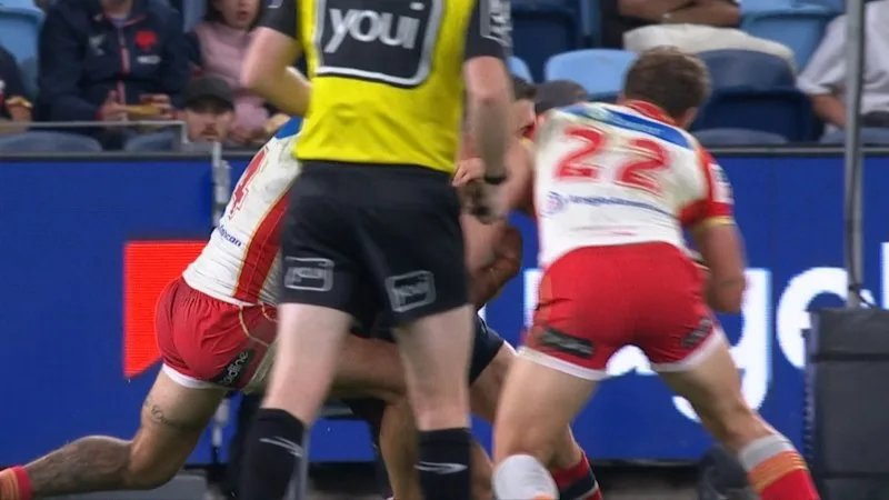 Dolphins forward avoids bin for high shot