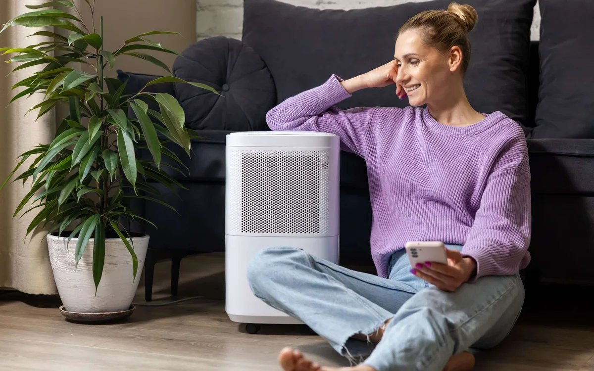 Top 5 des déshumidificateurs d'air pour lutter contre l'humidité à la maison
