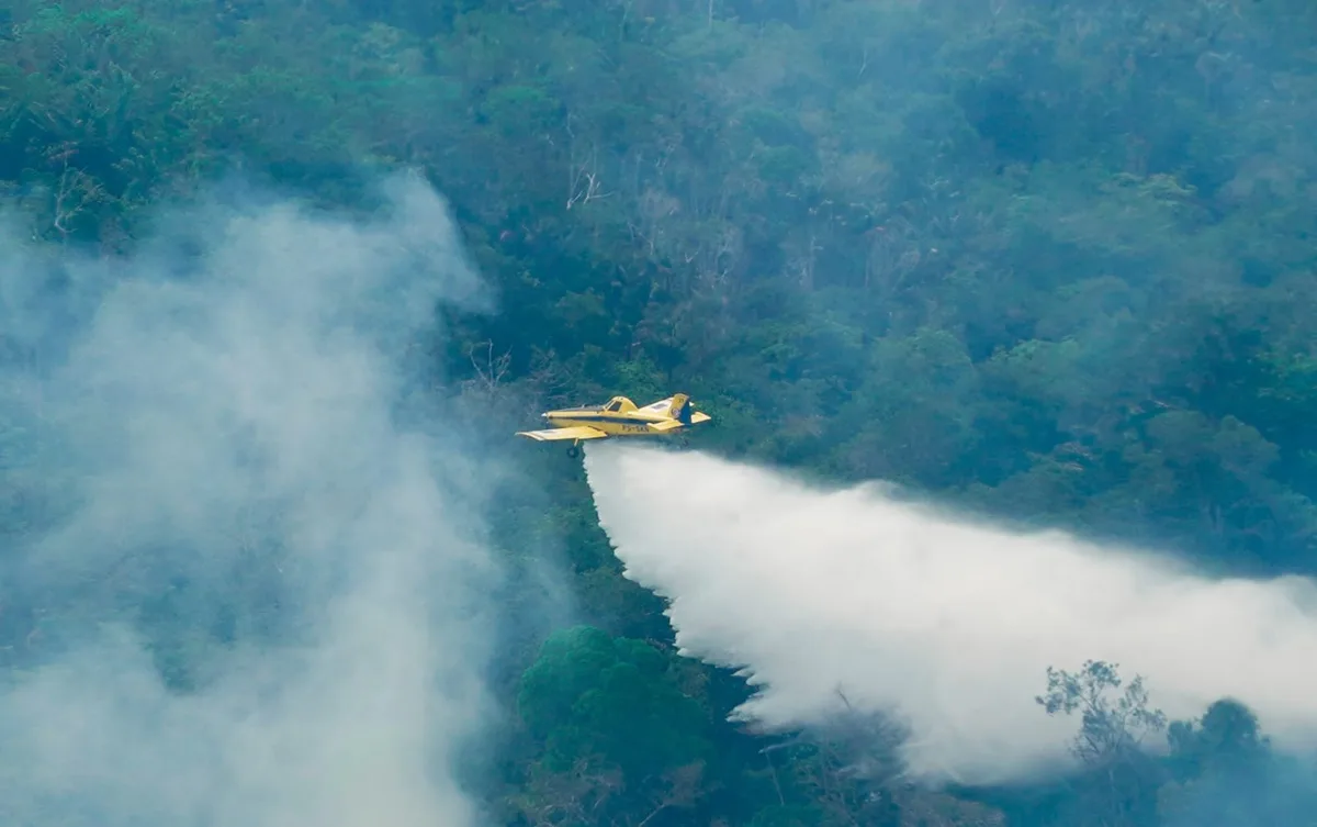 Queimadas no AM: Ibama diz ter extinguido 292 incêndios entre junho e outubro e combater outros 8 focos