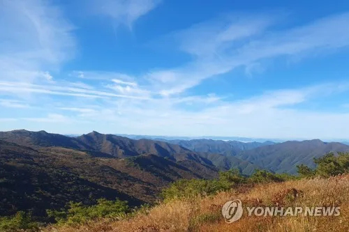 충북 가끔 구름 많음…낮 최고 28도