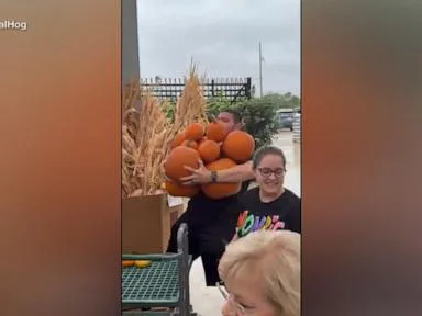WATCH: All-you-can-carry pumpkin deal