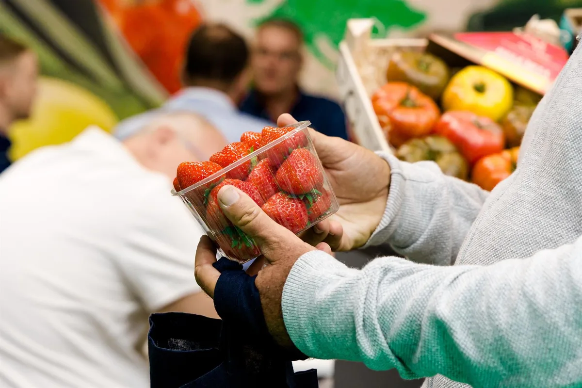 Medida de EEUU contra fresas mexicanas por dumping contradice T-MEC, advierte CNA: alerta sobre riesgo en inversiones