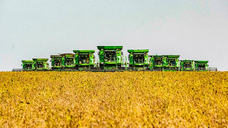 China moves to strengthen food security across grain supply chain