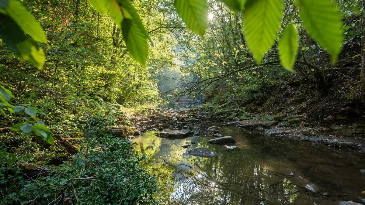 Wetterbericht: Badewetter in Aussicht: An diesem Tag gibt es bis zu 32 Grad