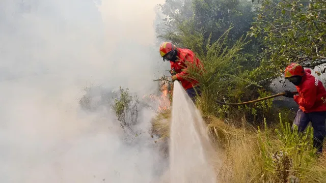 Quatro meios aéreos e 169 bombeiros combatem fogo na Lourinhã