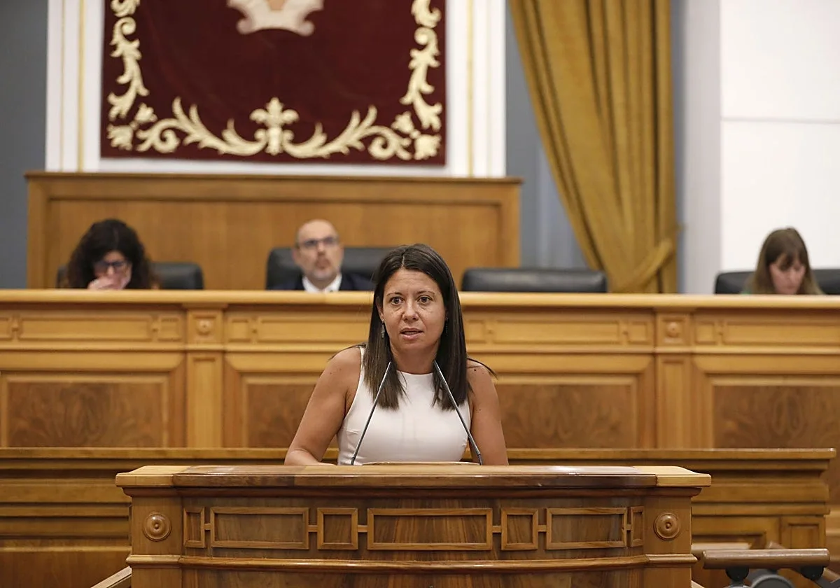Vox rechaza nuevas acogidas de menores extranjeros y el PSOE defiende el modelo regional de protección