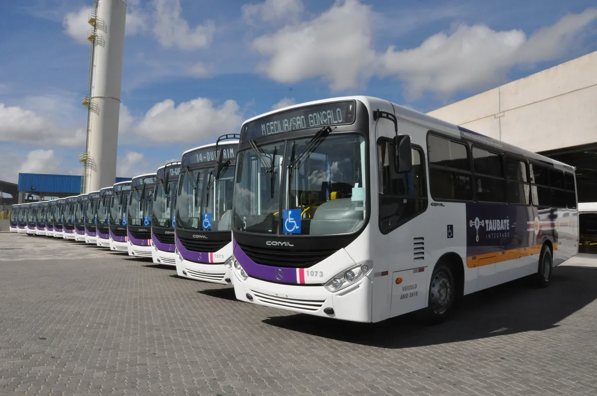 Recadastramento de cartões de ônibus em Taubaté termina em 31 de agosto; veja quem precisa atualizar