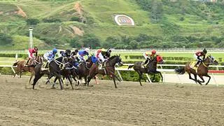 ¿Cuál es la más veloz? Once corredoras buscan la corona en el Clásico Sprinters Yeguas (GII) en La Rinconada
