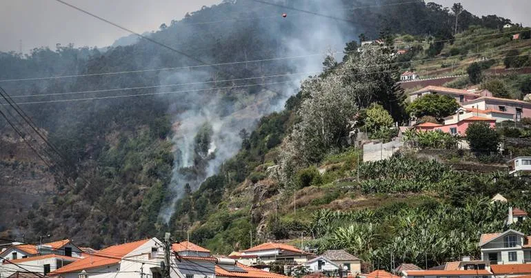 Incêndios: PS/Madeira defende estratégia de prevenção