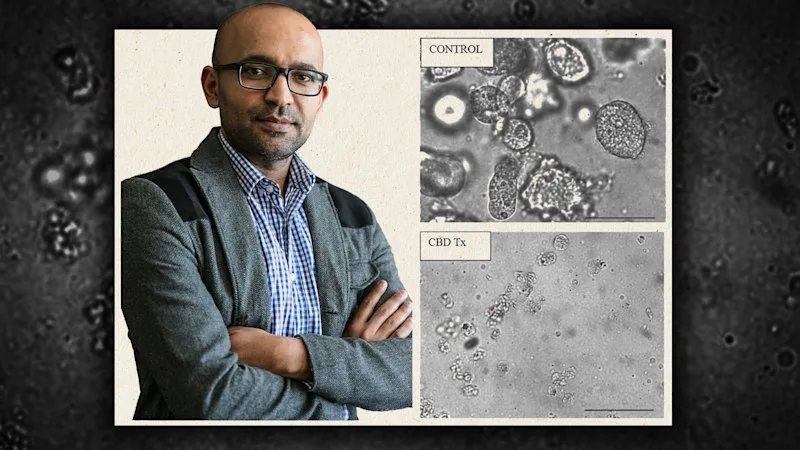 No consent: Sacked professor loses case after women’s cells used in mice experiment