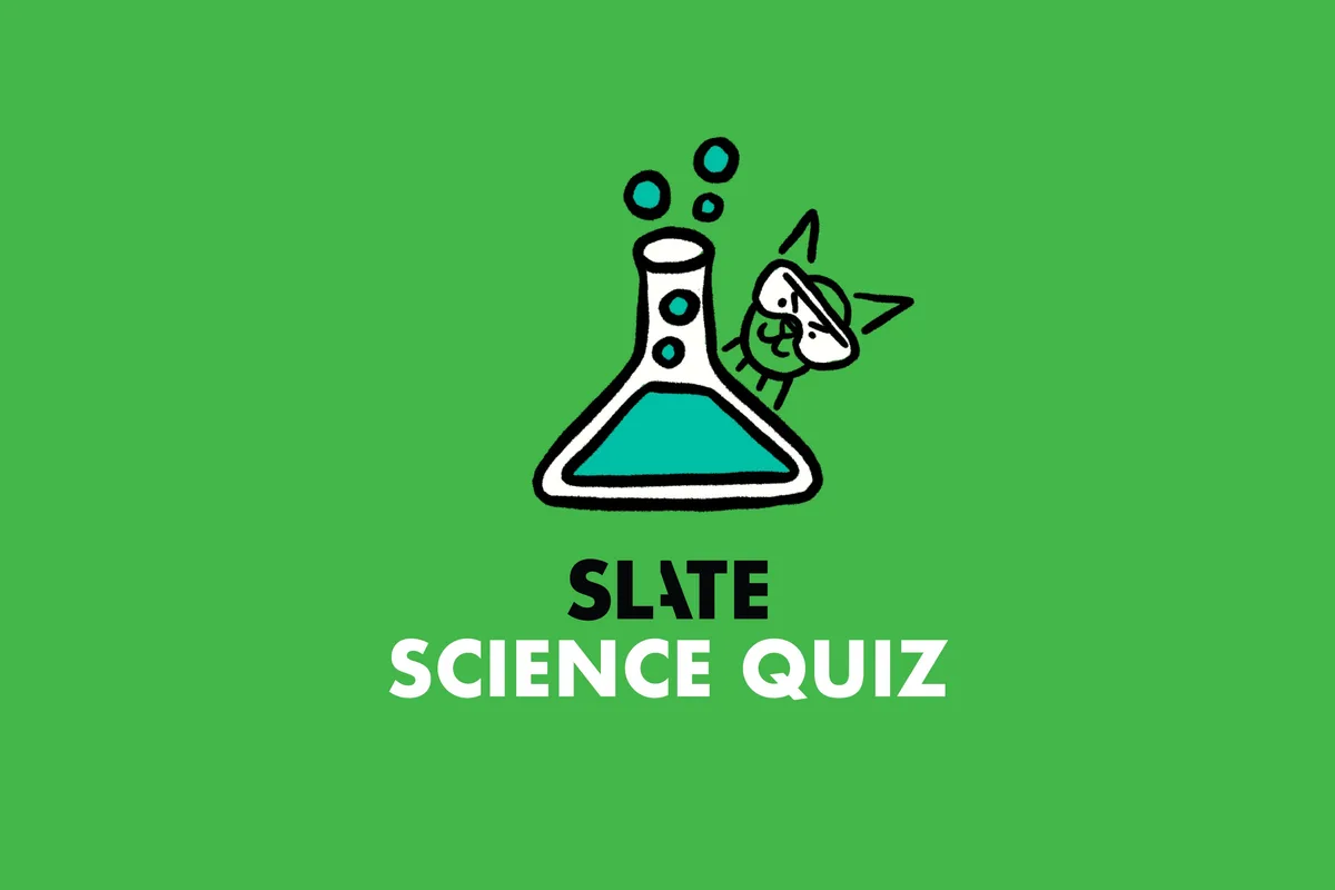 What Grows on a Nuciferous Plant?