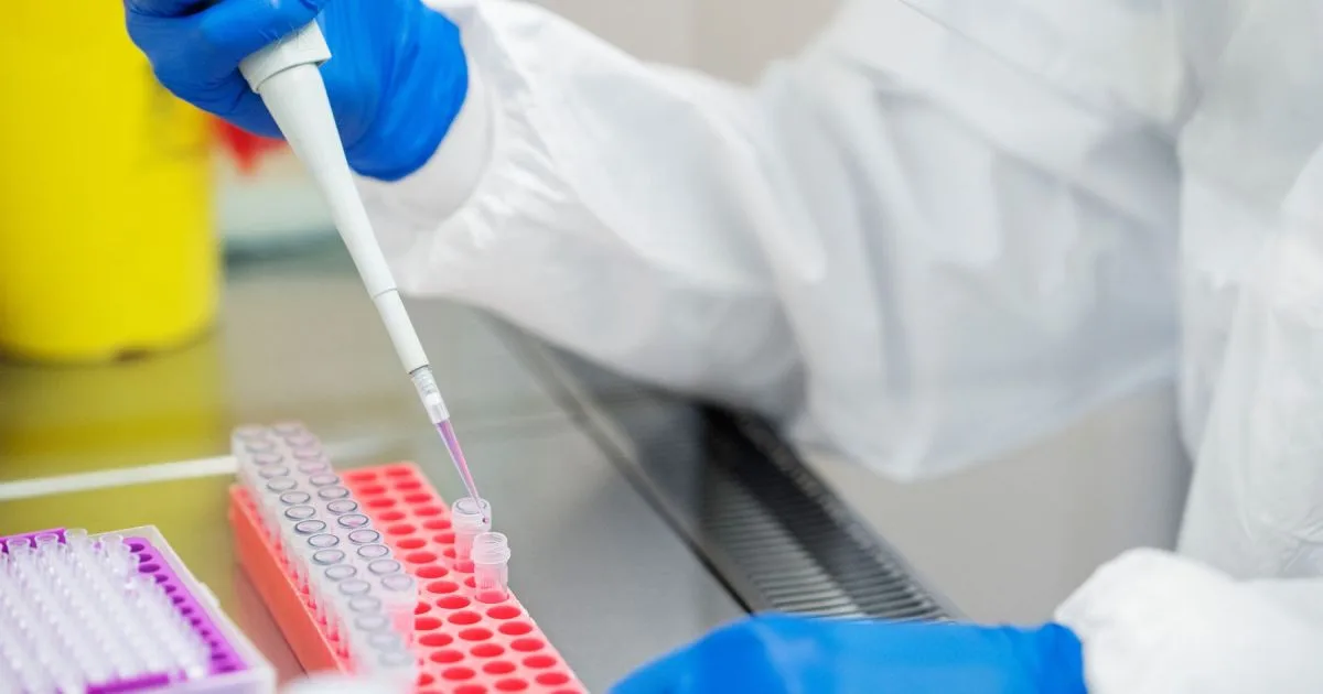 Científicas prueban cómo el ARN bacteriano puede ayudar a combatir tumores