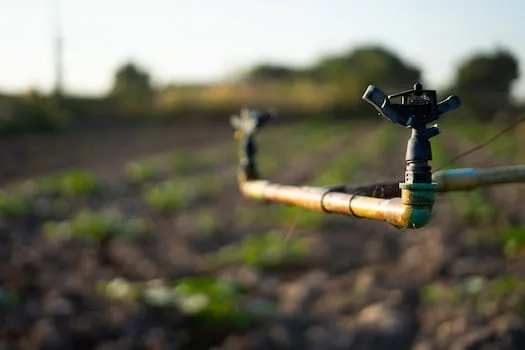 PODCAST | How nature creates sustainable investment value