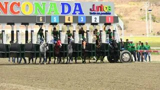 Este es el cuadro sugerido de bajo costo para el 5y6 nacional del domingo en La Rinconada