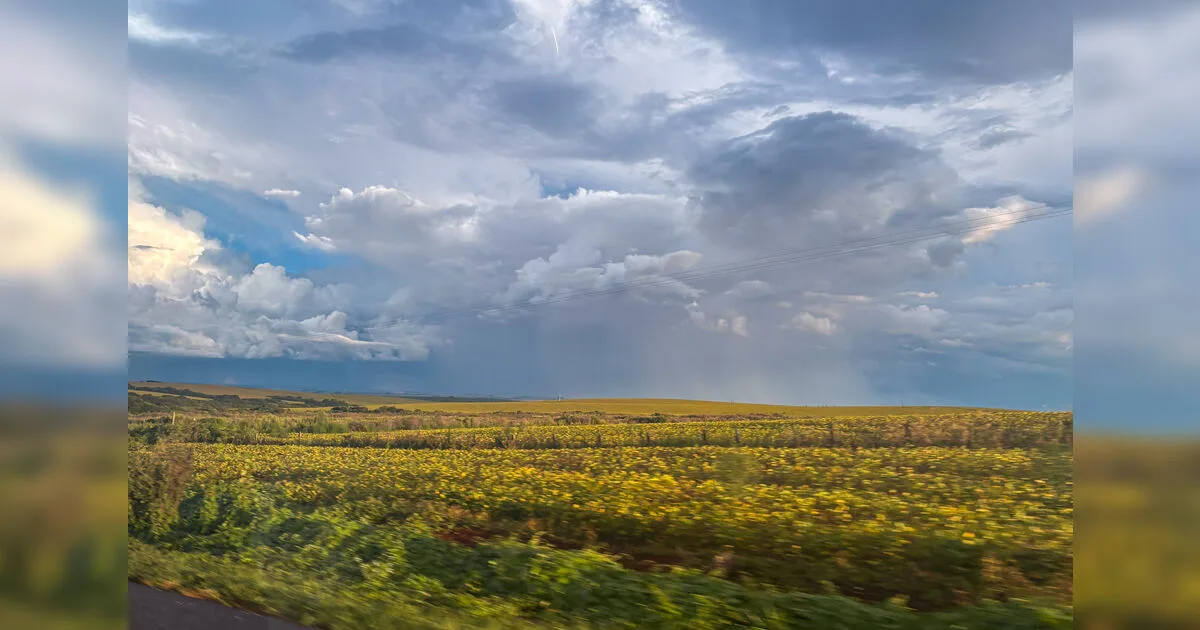 Semana intercala chuvas isoladas e dias de sol no Paraná, prevê Simepar