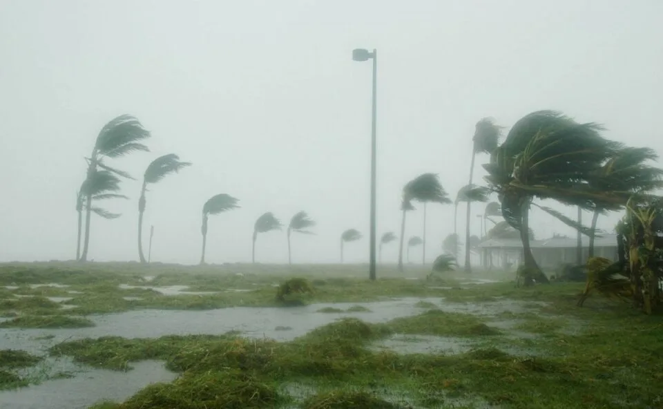 Ciclone extratropical e frente fria avançam, derrubam temperaturas e Paraná fica sob alerta para vendaval