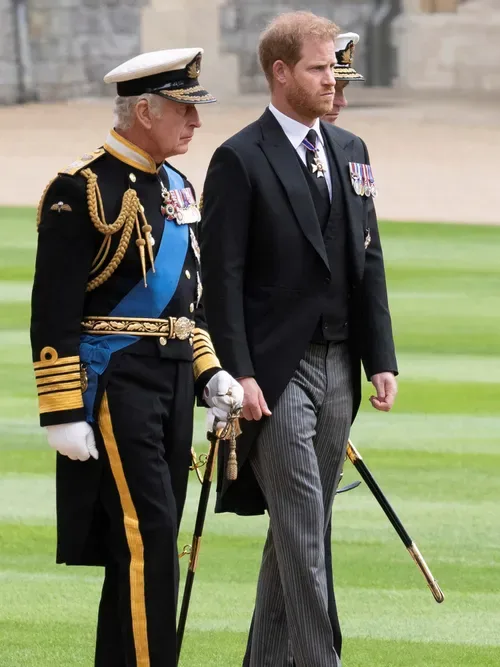 Huge questions loom over Prince Harry's shock return to UK