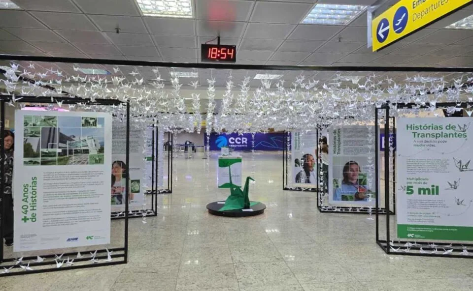 Exposição com 5 mil tsurus toma conta do Aeroporto Afonso Pena; entenda o significado da instalação