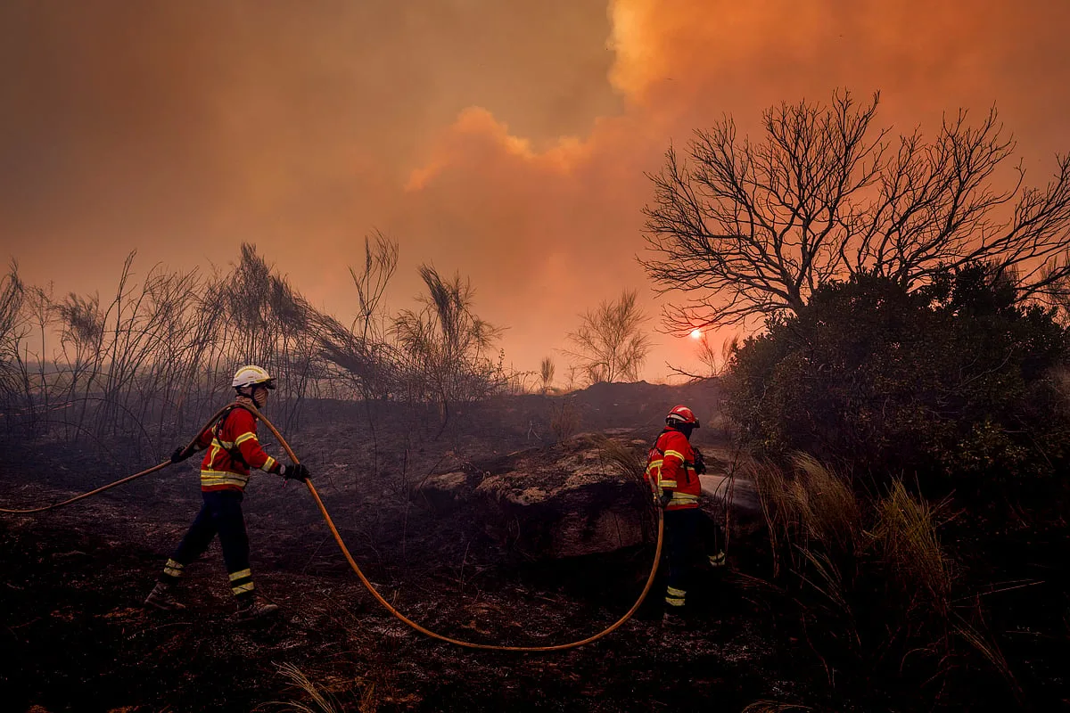 Mais de 950 bombeiros combatem quatro fogos no norte do país