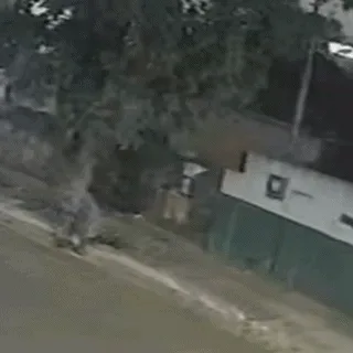 Em onda de furtos, comércio é invadido mais de 10 vezes em um mês