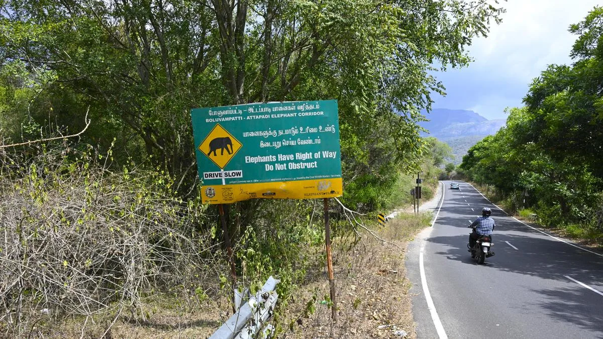 High Court orders verification of documents of 33 resorts in Anaikatti near Coimbatore