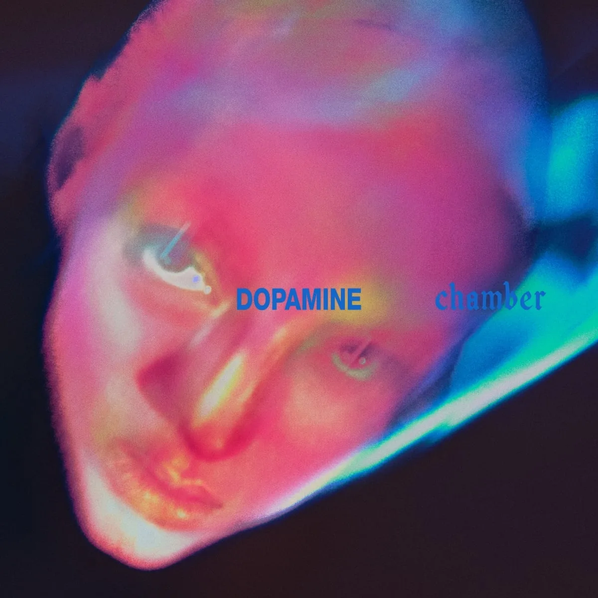 Fontaines D.C. acerta ao não buscar reinvenção em “Dopamine Chamber”