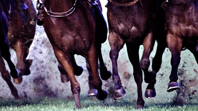Race-by-race preview and tips for Grafton on Tuesday
