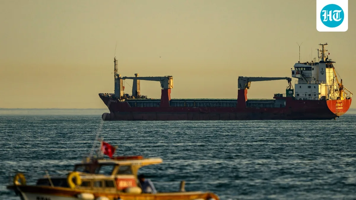 2 Turkish-flagged ships collide in Sea of Marmara off Istanbul, 10 crew missing