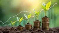 SLC Agrícola tem lucro de R$ 245 milhões no 2º trimestre, alta de 75%