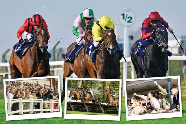 Free autumn horse racing tickets to give away with Arena Racing Company