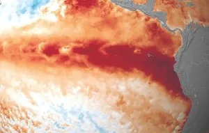 “Nunca vi tão intenso”: Cientistas voltam a alertar para El Niño sem precedentes