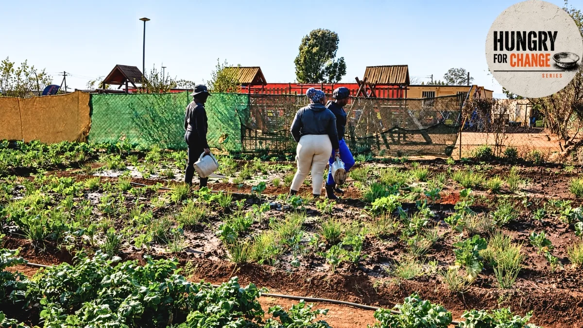 Part 7 | ‘No hunger here’ – How a Lenasia community garden helps unemployed families put food on the table