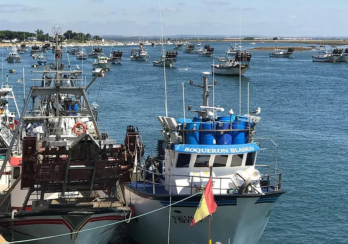 Un pescadero avisa antes de que vayas a comprar: «Hay pescados que van a escasear o incluso estarán más caros»