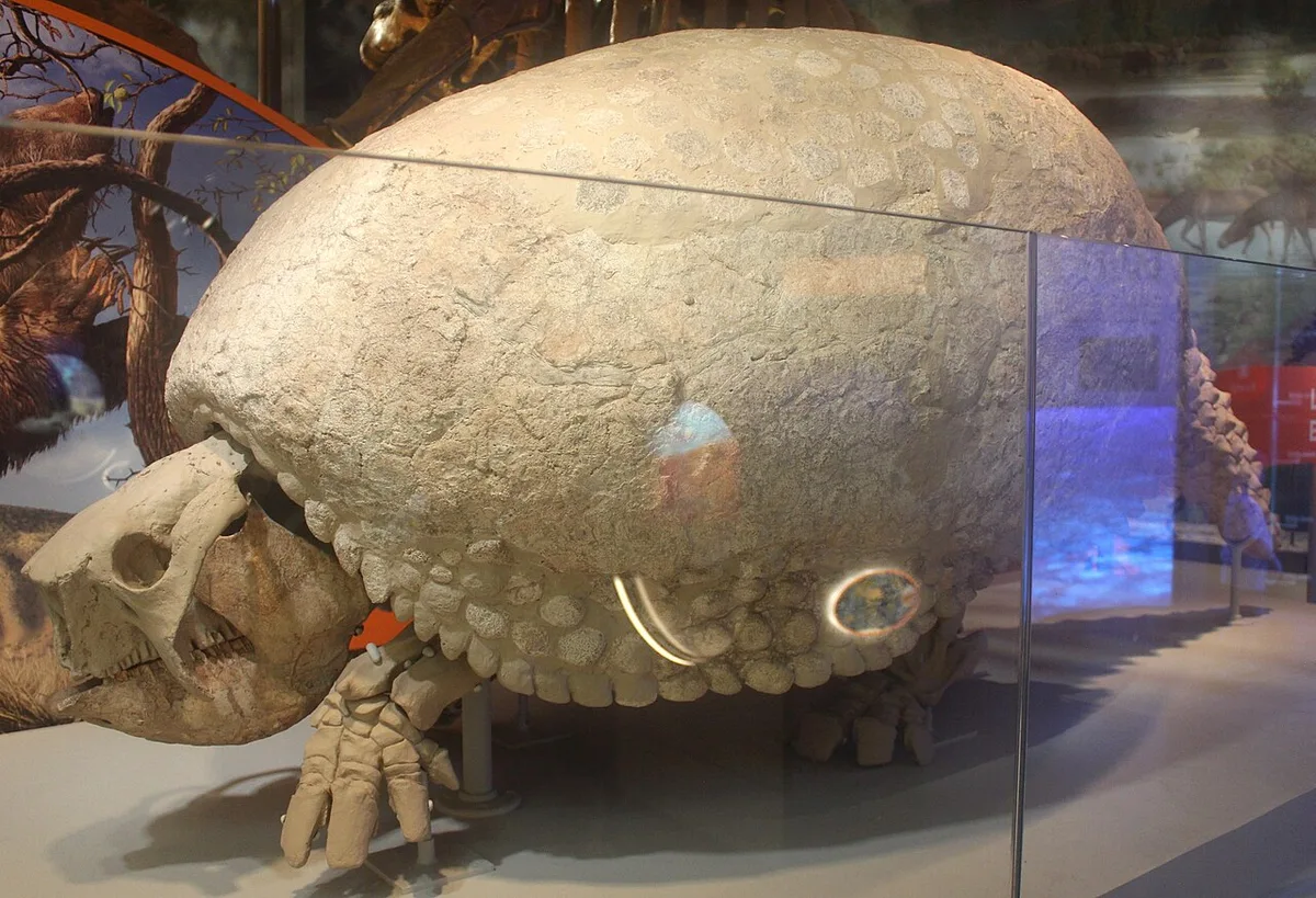 Nova espécie de mamífero gigante que viveu no Brasil é descrita pela ciência