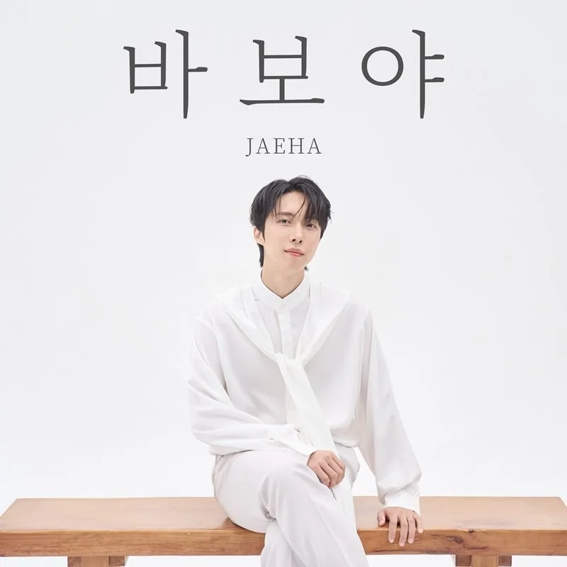 ‘감성천재’ 재하, 직접 만든 애절한 ‘바보야’ 발매 [DA투데이]