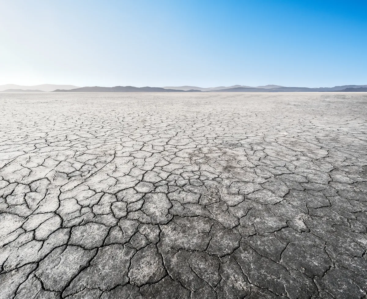 Our Approach to Drought and Wildfire Is Economically Backwards