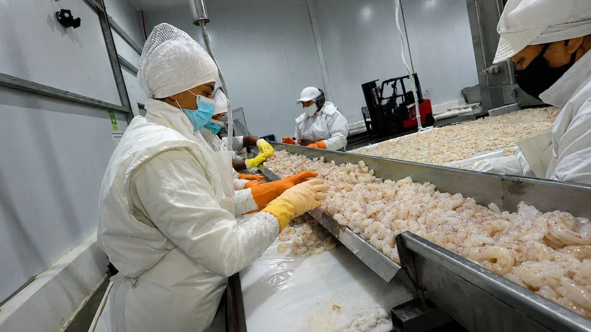 Las exportaciones pesqueras saltaron 23% y alcanzaron u$s1.677 millones: qué productos impulsaron el crecimiento