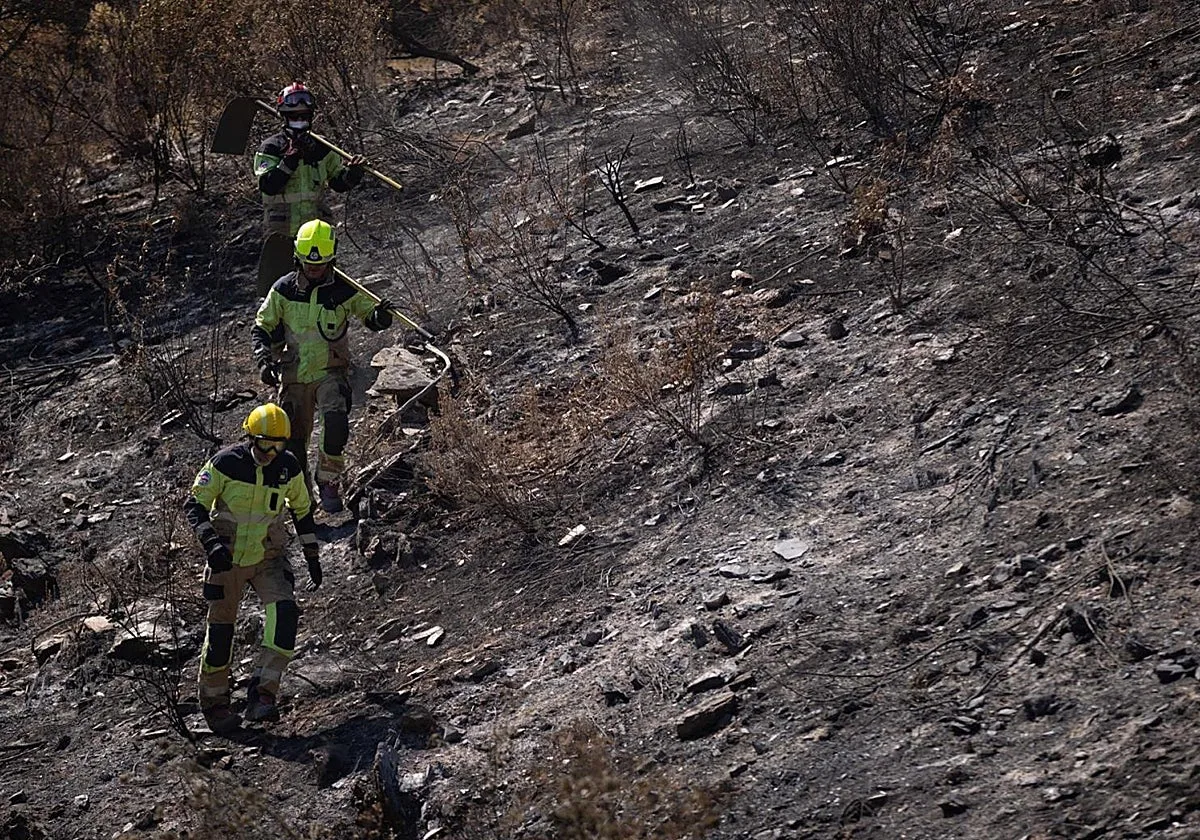 La medición por satélite cifra en 33.000 hectáreas la tierra quemada en el incendio de Niebla